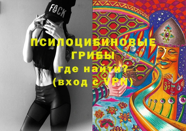 spice Абаза