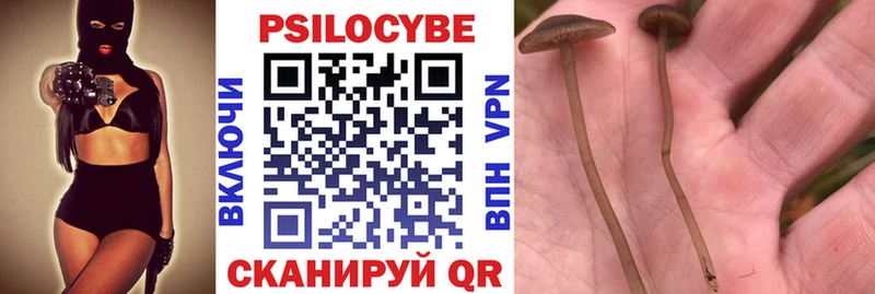 Псилоцибиновые грибы прущие грибы  Терек 